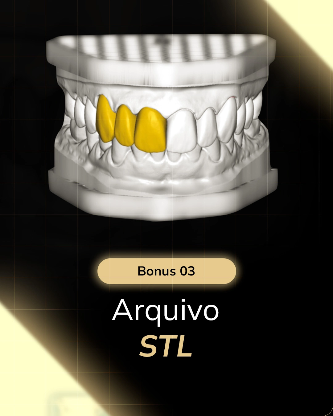 Bonus 03